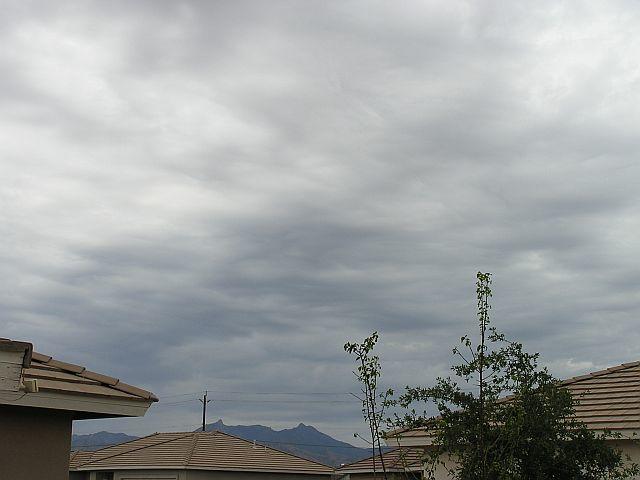 8-2-2010 007res.jpg