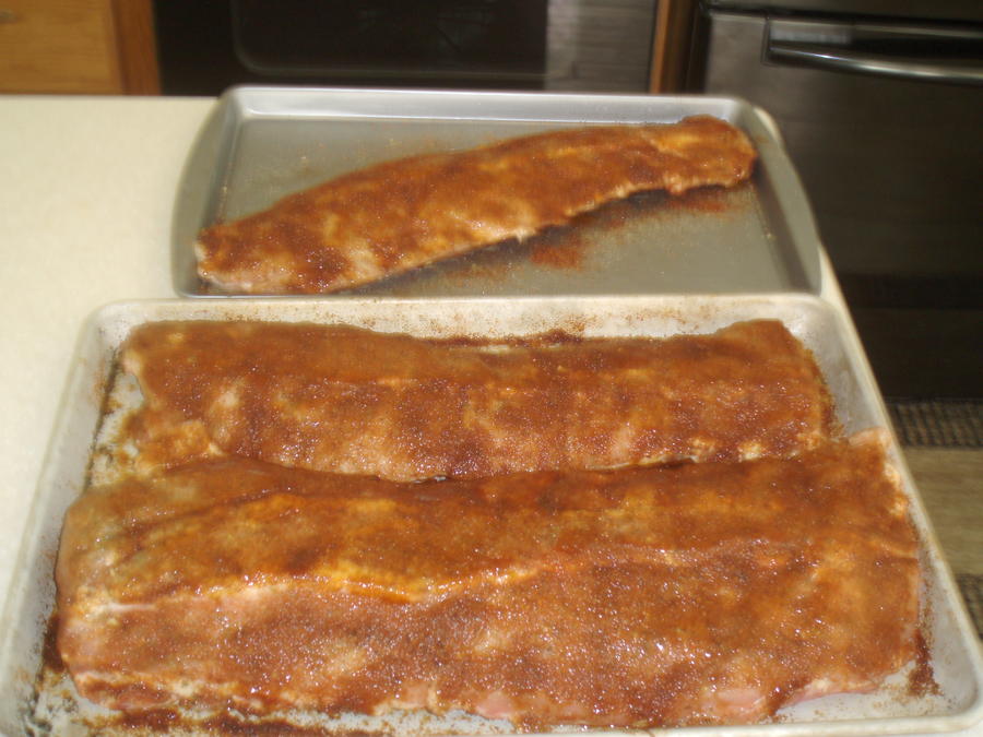 8-8-2011 smoke Ribs.jpg