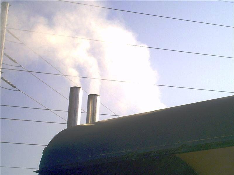 873196331.jpg