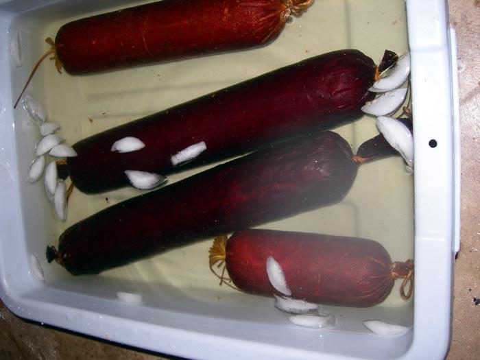 96.jpg