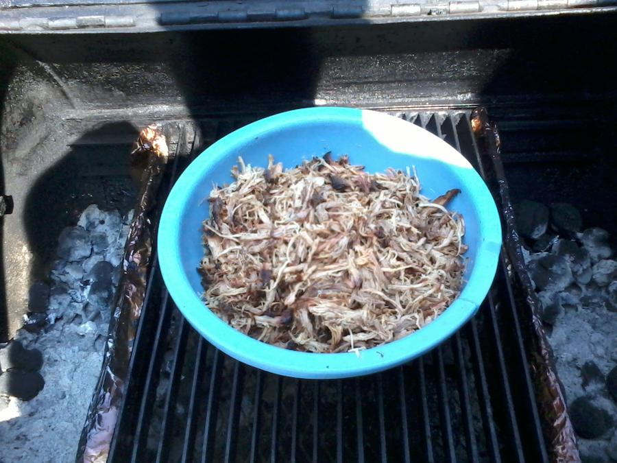 9th Hr 205 rest & Full Pull.jpg