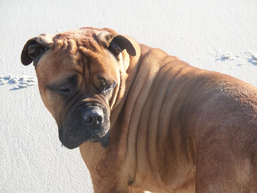 Alpine 09-10 126.JPG