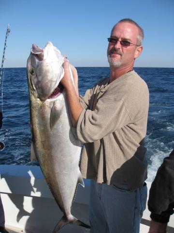 amberjack.jpg