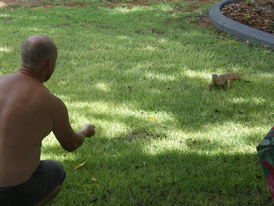 Animals around da donger 002.JPG