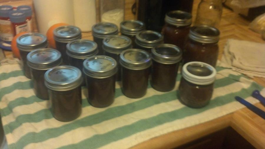 apple butter 2013.JPG