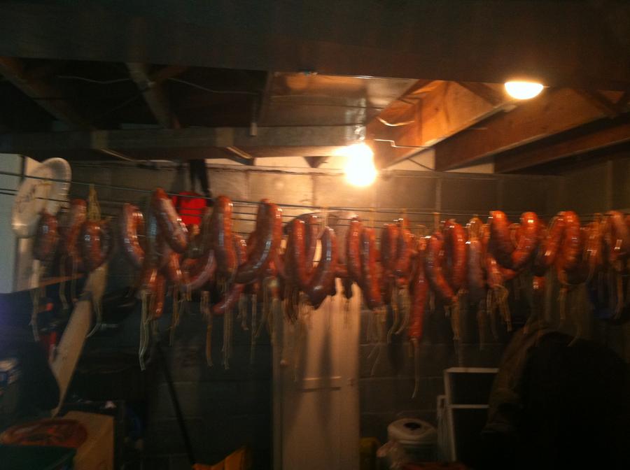 April 3 2012 113.JPG