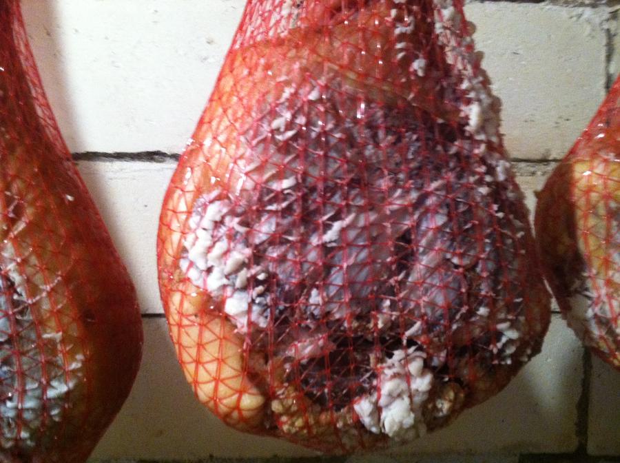 April 3 2012 238.JPG