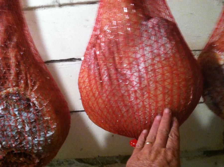 April 3 2012 239.JPG