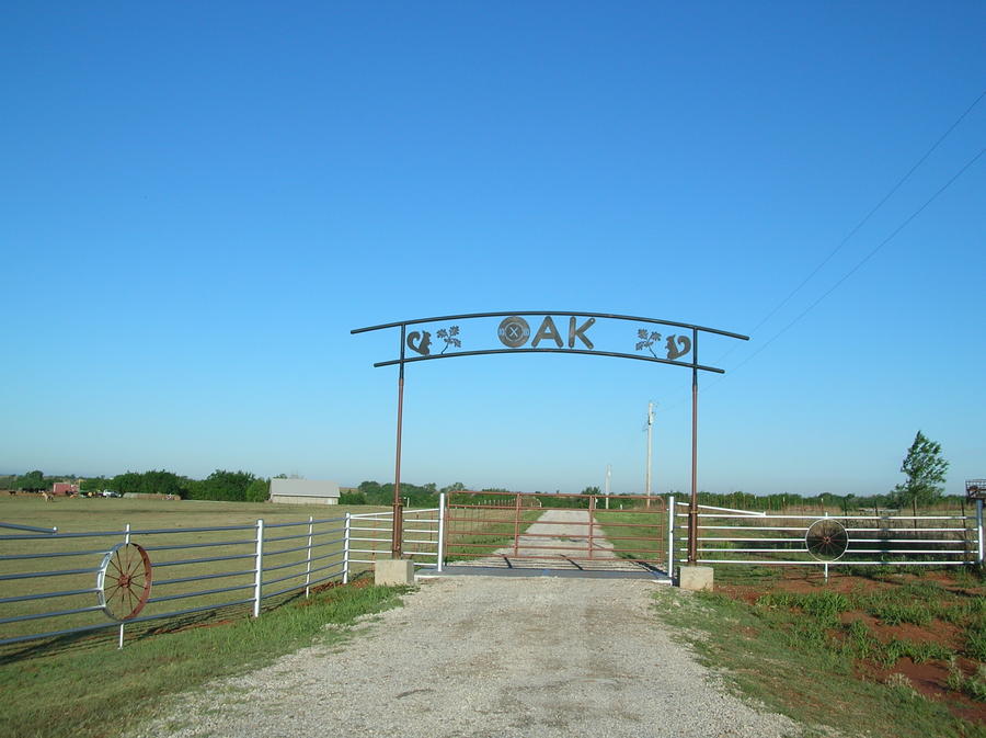 arch 001.jpg