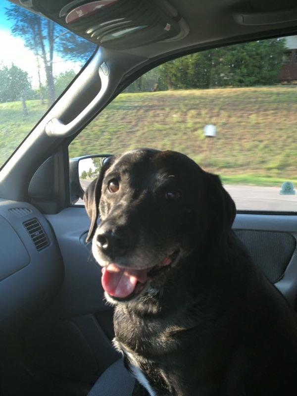 atticas car ride.jpg