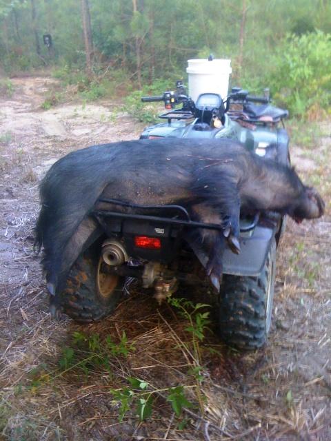 atvresized-1.jpg