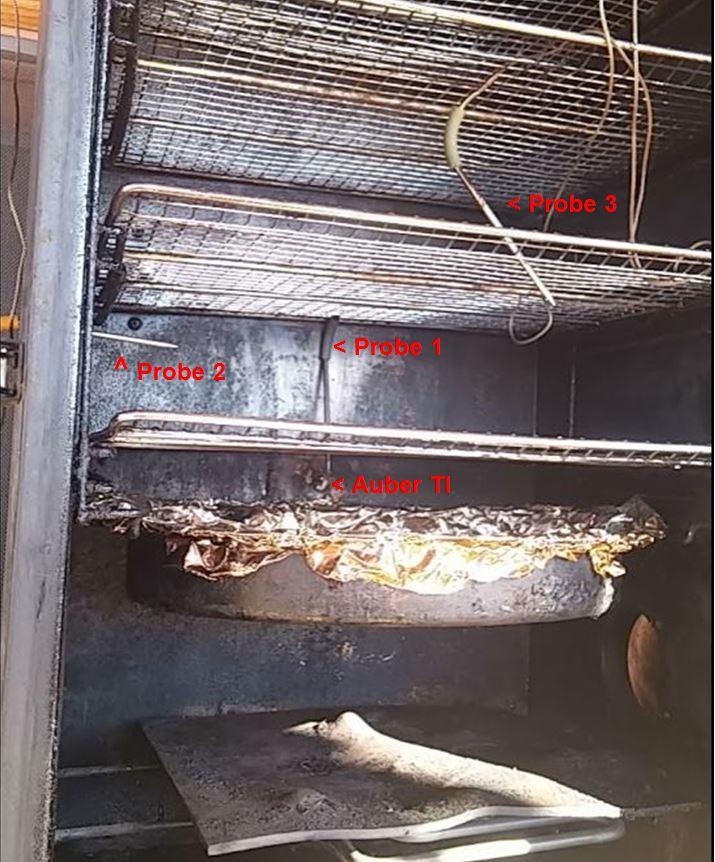 Auber-IGrill 3.JPG