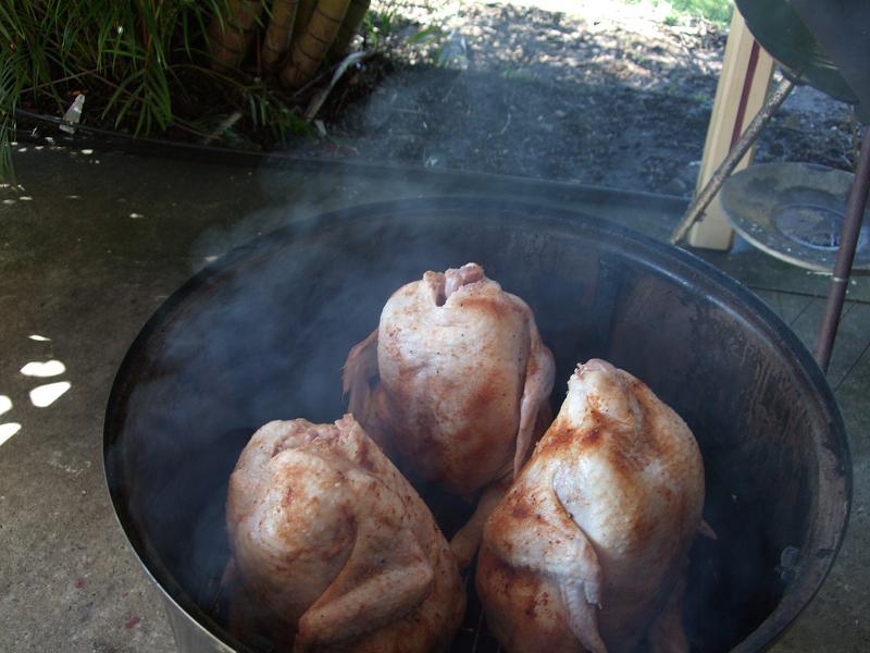 Australia Day 087.jpg