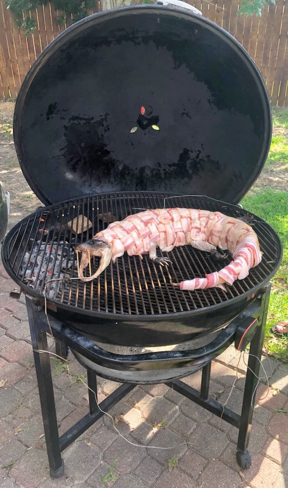 Gator smoker clearance