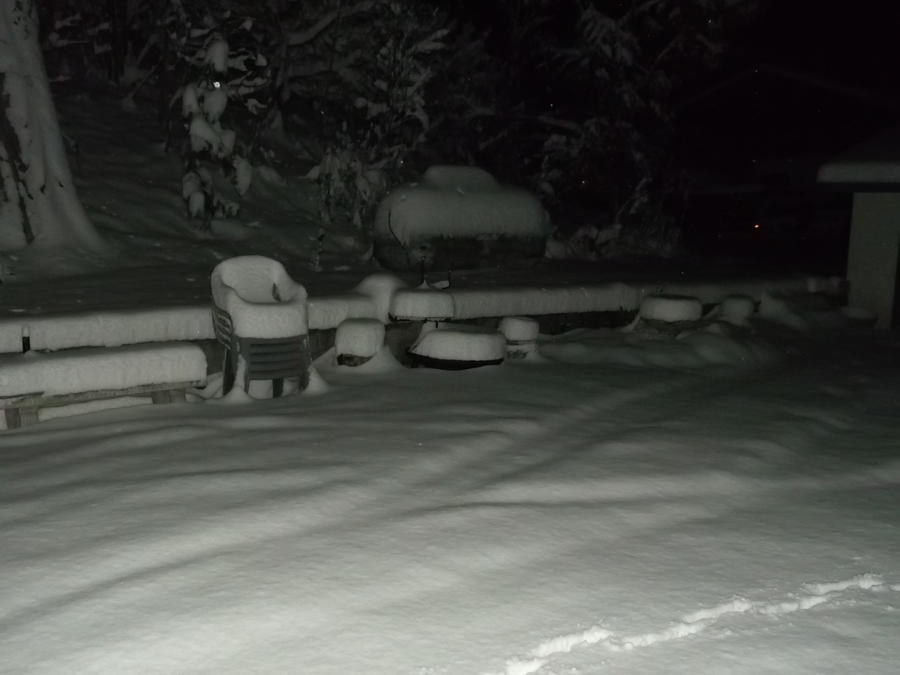 Back Yard Snow.jpg