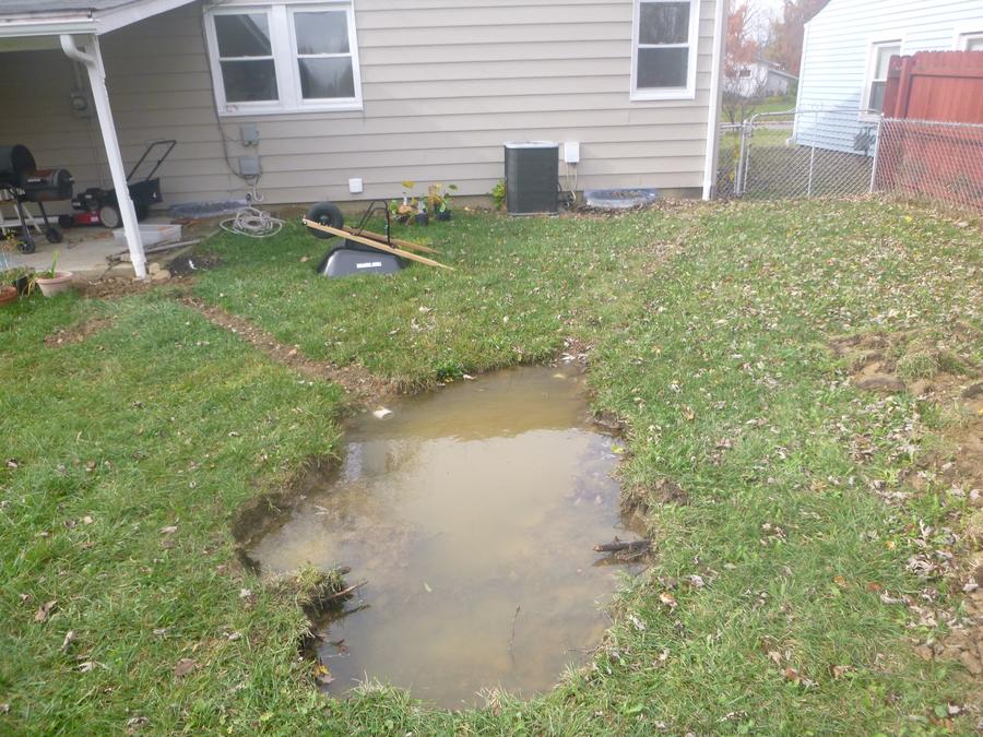 backgardenshot.jpg