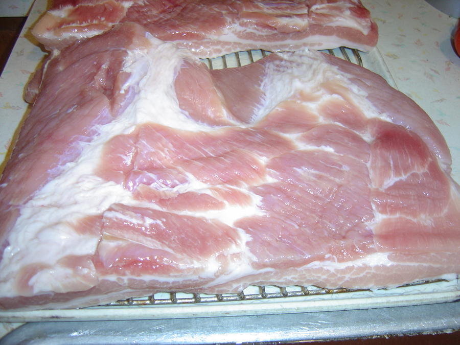 bacon a 6.JPG