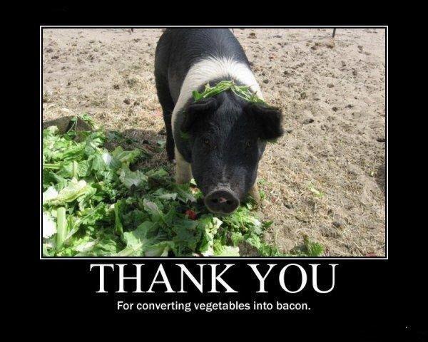 bacon.jpg