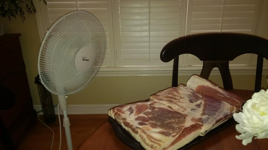 baconfan.jpg