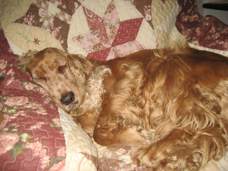 bakery and smoke 002.JPG