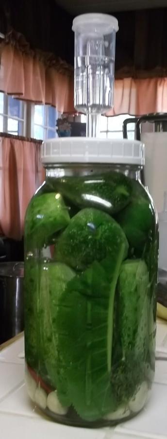 batch #2.jpg