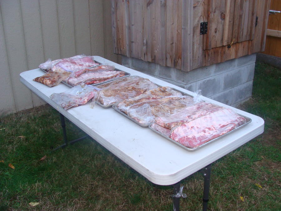 BBQ Fund Raiser 007.JPG