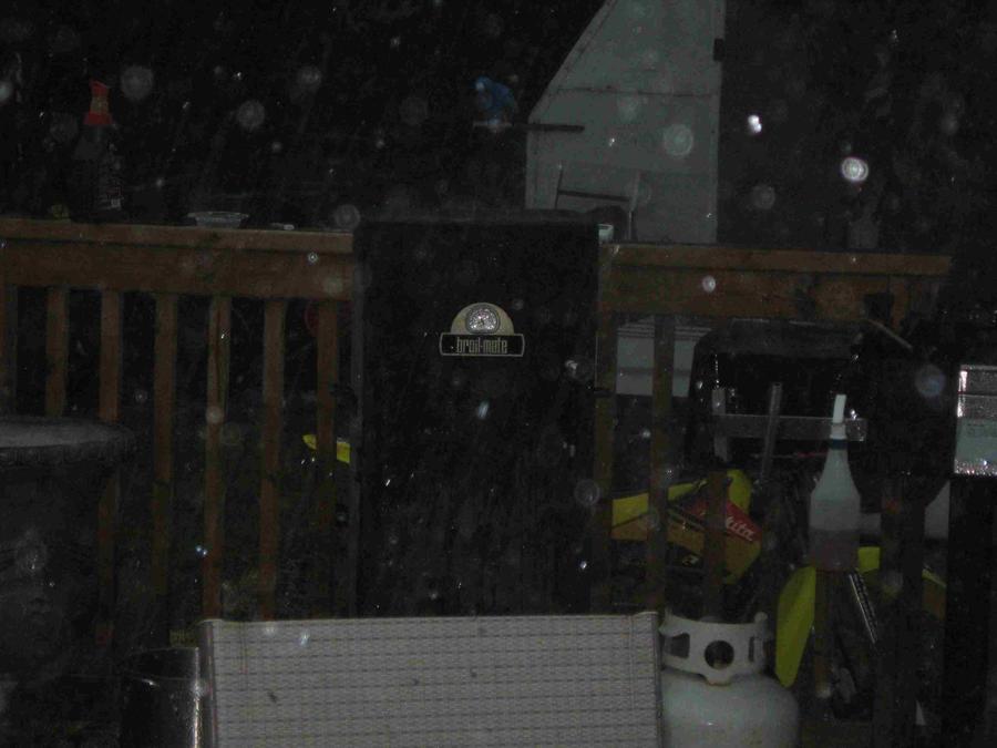 BBQ July 19 2011 010.jpg