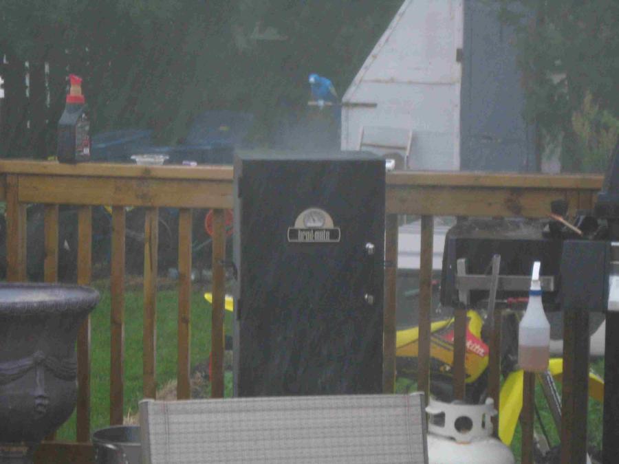 BBQ July 19 2011 011.jpg