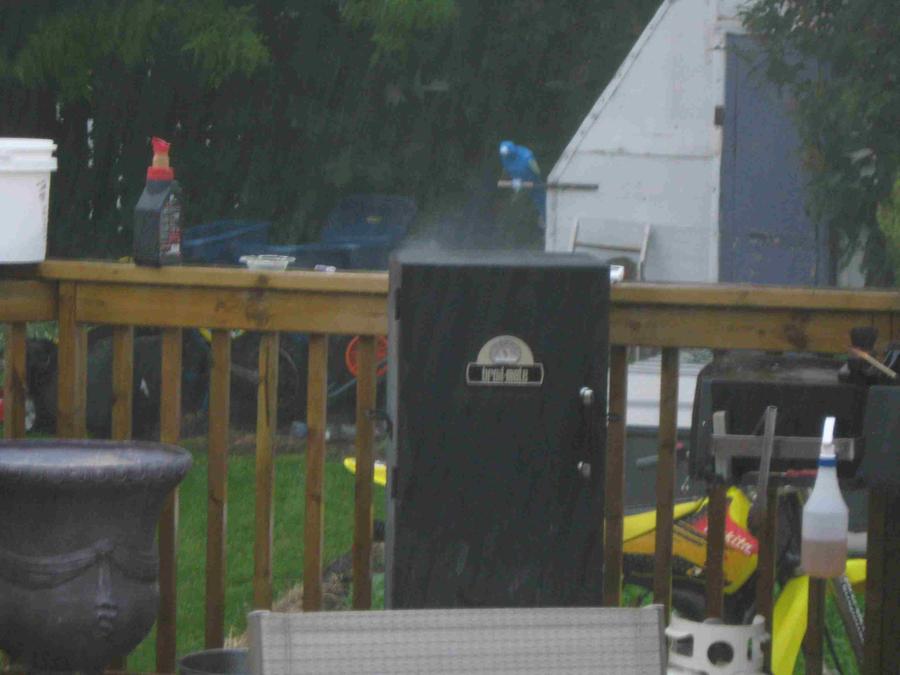 BBQ July 19 2011 012.jpg