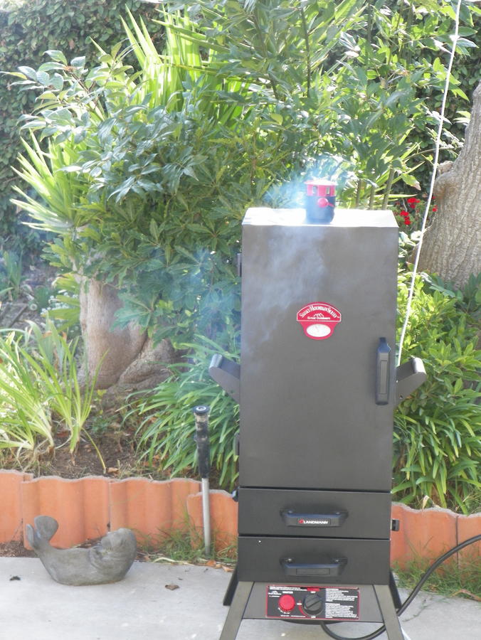 bbq smoke.JPG