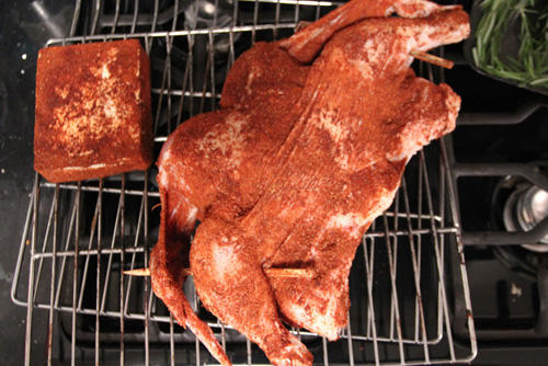 BBQ_4_20_2014_6.jpg