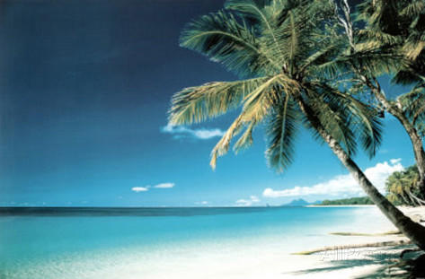 beach-morning-art-print-poster.jpg