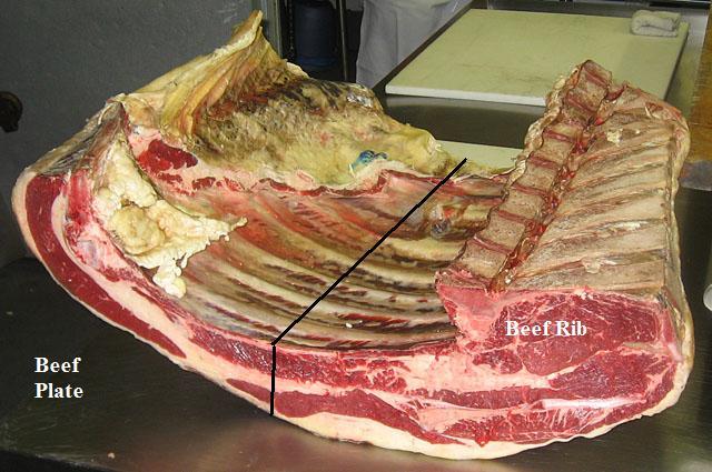 Beef rib plate section separated.jpg