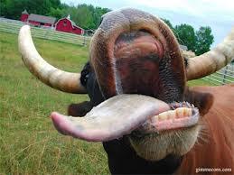 beef tongue alive.jpg