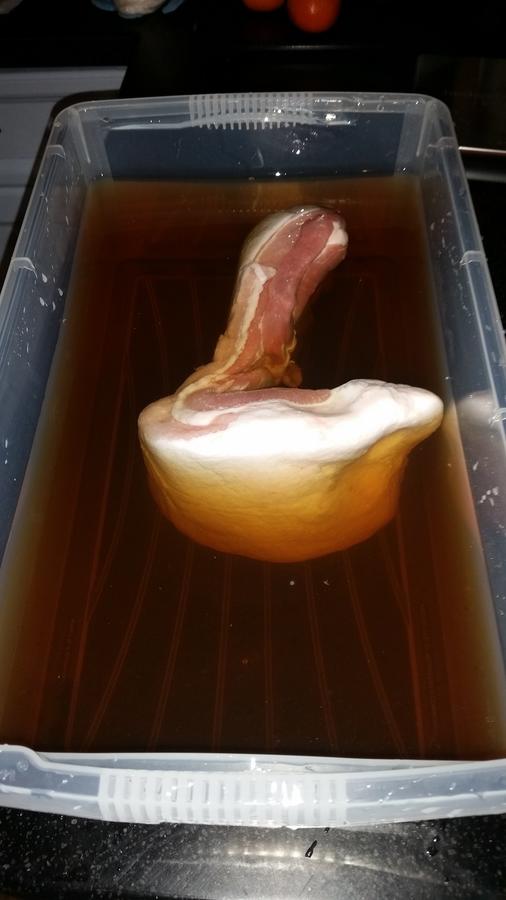 Belly in Brine 1.jpg