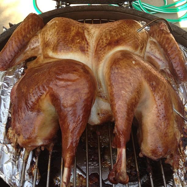 BGE First Turkey.jpg