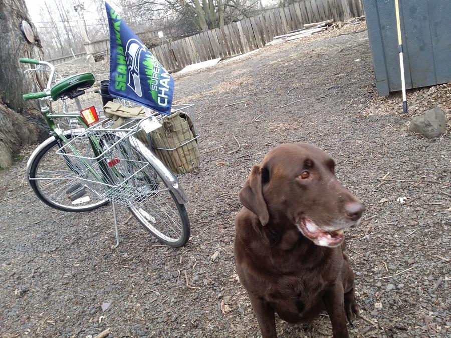 bike and dog.jpg