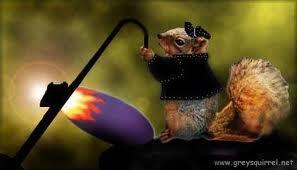 biker squirrel2.jpg