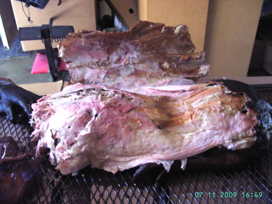 BILD0143.JPG