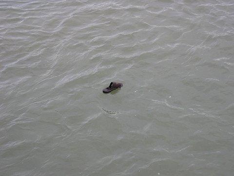 Bin Laden Funeral.jpg