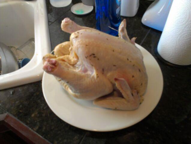 bird2.jpg