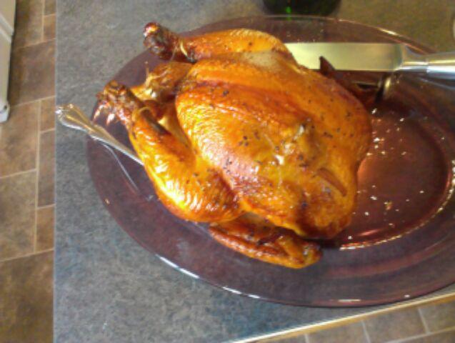 bird3.jpg