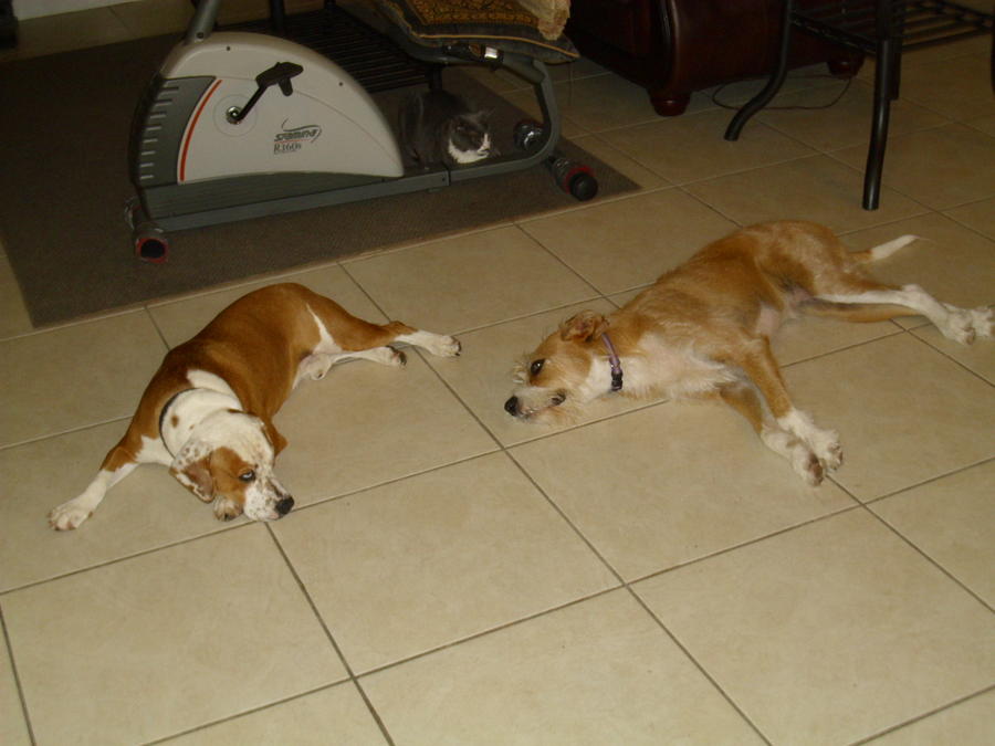 Birthday Time 004.jpg