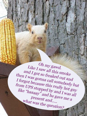 blonde squirrel2.jpg