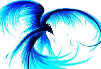 Blue_phoenix.jpg