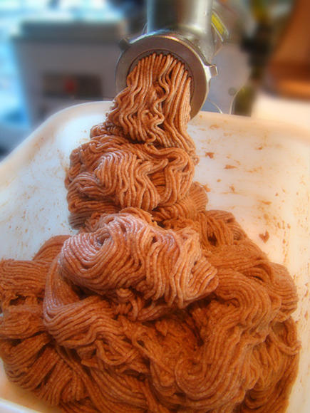 Bolog_fineGrind_sml-1.jpg