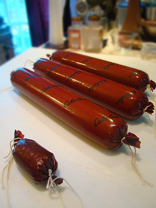 Bolog_new_stuffed_lg.jpg