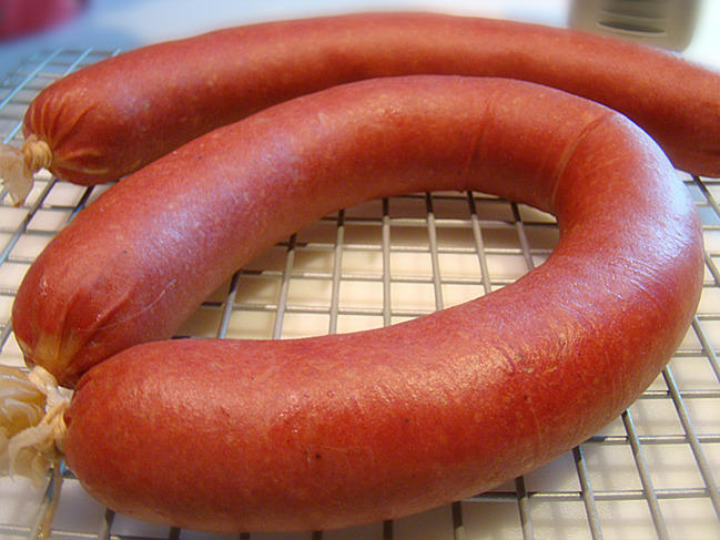 Bolog_rings_sml.jpg