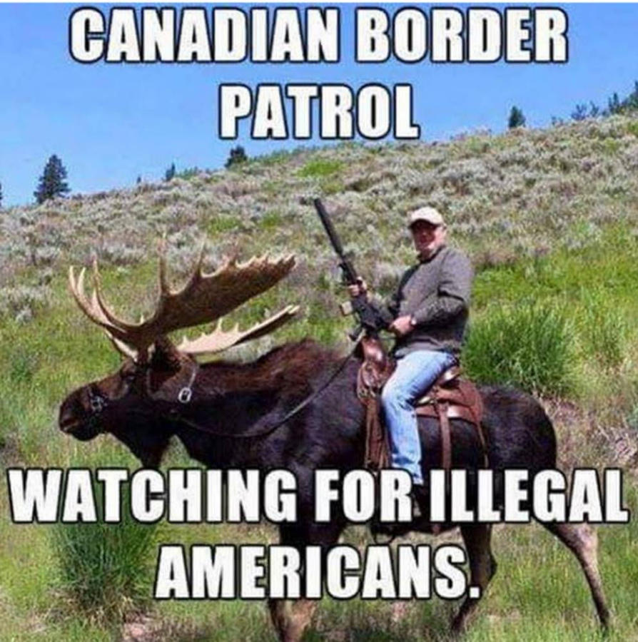 border.jpg