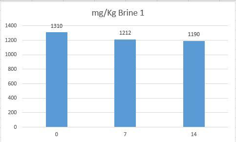 Brine 1 mg_kg.JPG